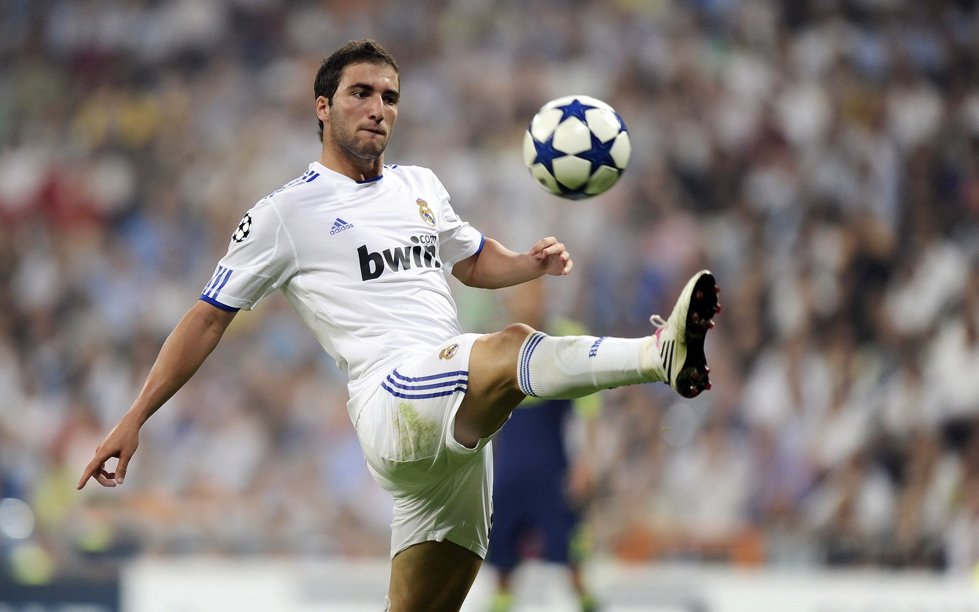 球员在欧洲杯赛场上被誉为“绿茵新星”：新星崛起的背后故事